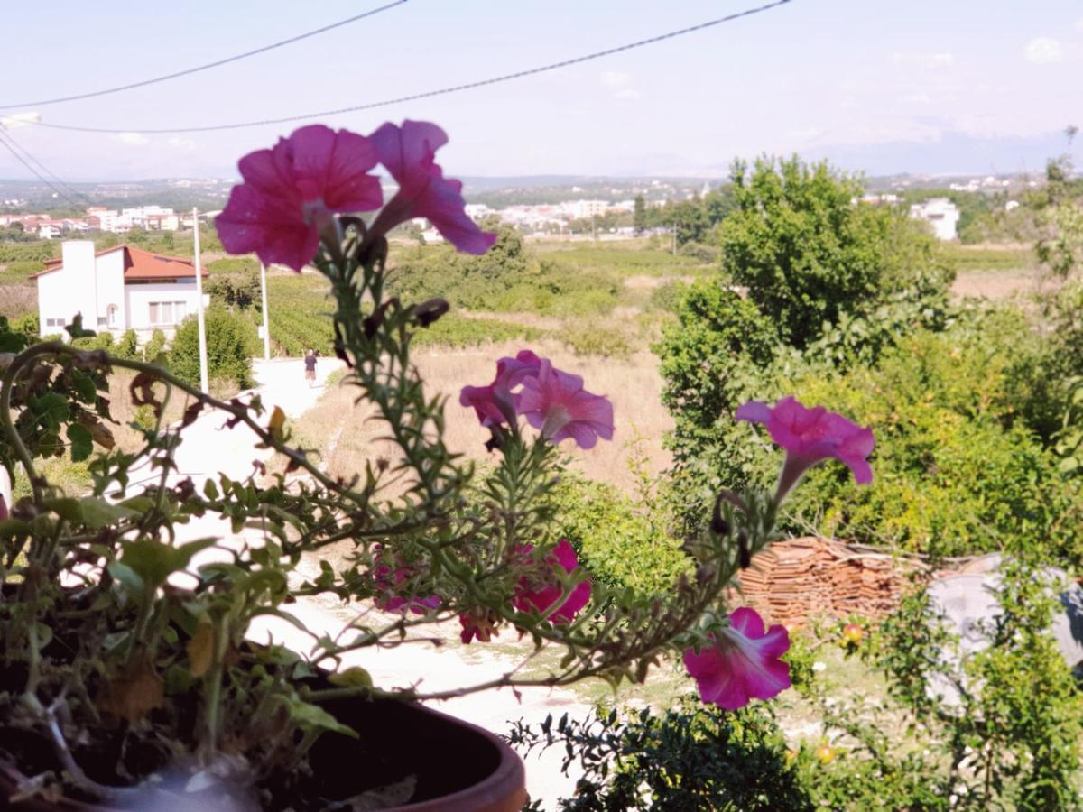 Delia Apartment Medjugorje Exterior photo